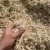 Bagasse Breakdown