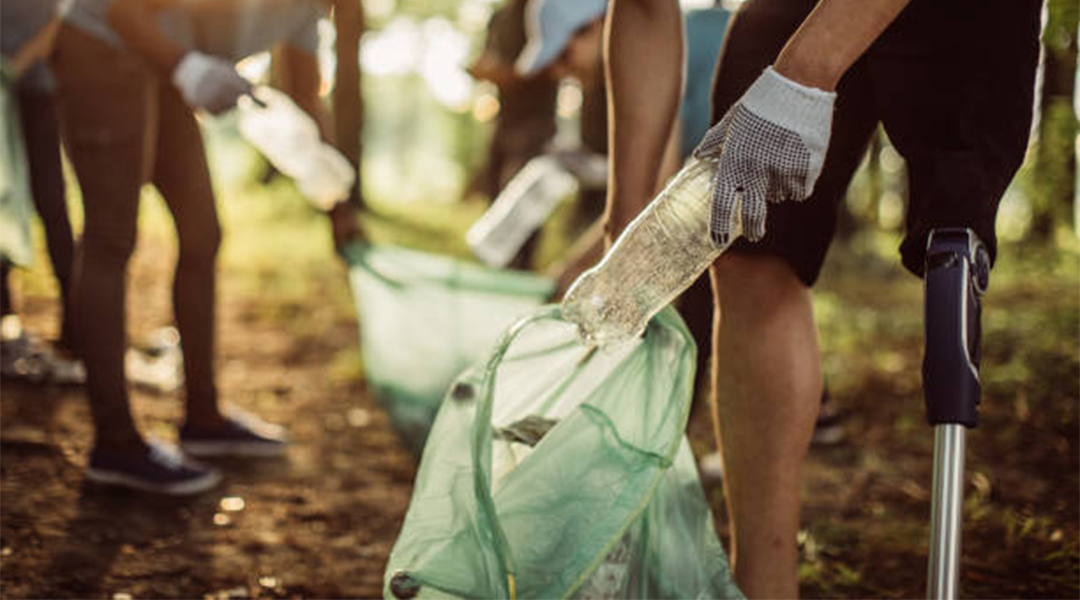 Plastic is everywhere, so are its alternatives. Plastic is everywhere, so are its alternatives.